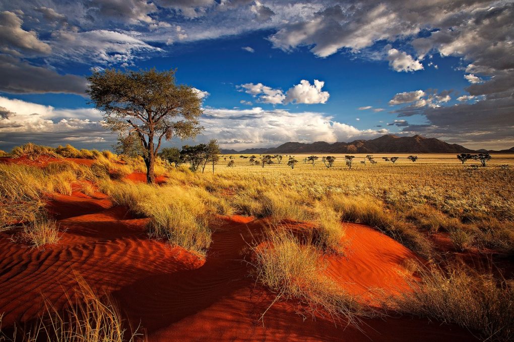 idee premi concorso di Natale - premi - viaggio Namibia idee premi concorso di Natale - premi - viaggio Namibia